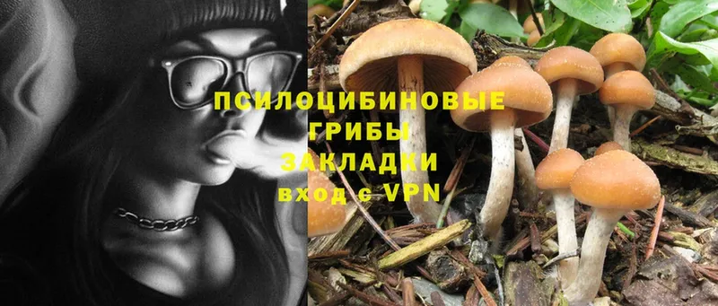 Галлюциногенные грибы MAGIC MUSHROOMS  магазин  наркотиков  Северодвинск 